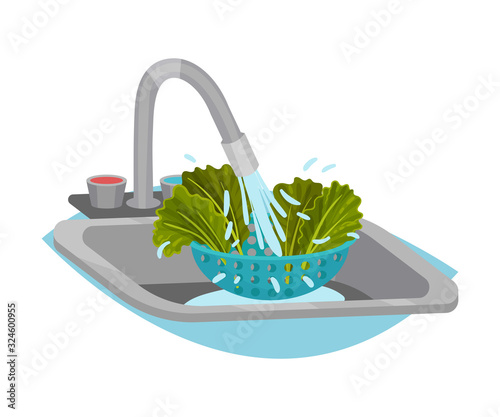 Lettuce Cleaning and Washing with Tap Water Process Vector Illustration