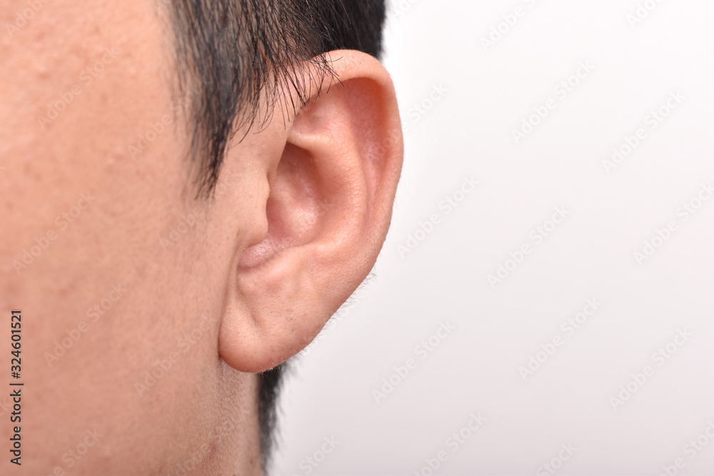 Obraz premium Left male ear on white background