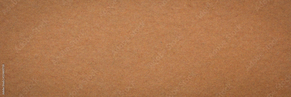 Fototapeta premium background and texture of handmade Indian paper