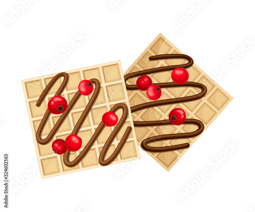 Square Shaped Waffle with Textured Surface and Chocolate Topping with Cranberry Top View Vector Illustration