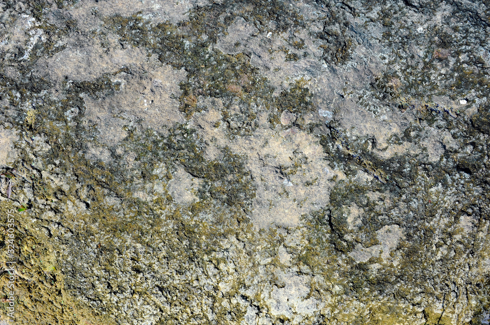 Natural Photography Some of The Stone Natural Photography Some of The Stone