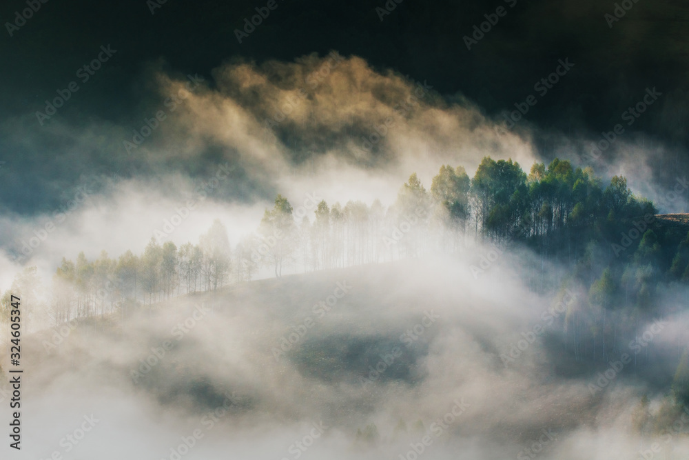Obraz premium Beautiful misty and foggy morning in golden hour on a peaceful meadow.