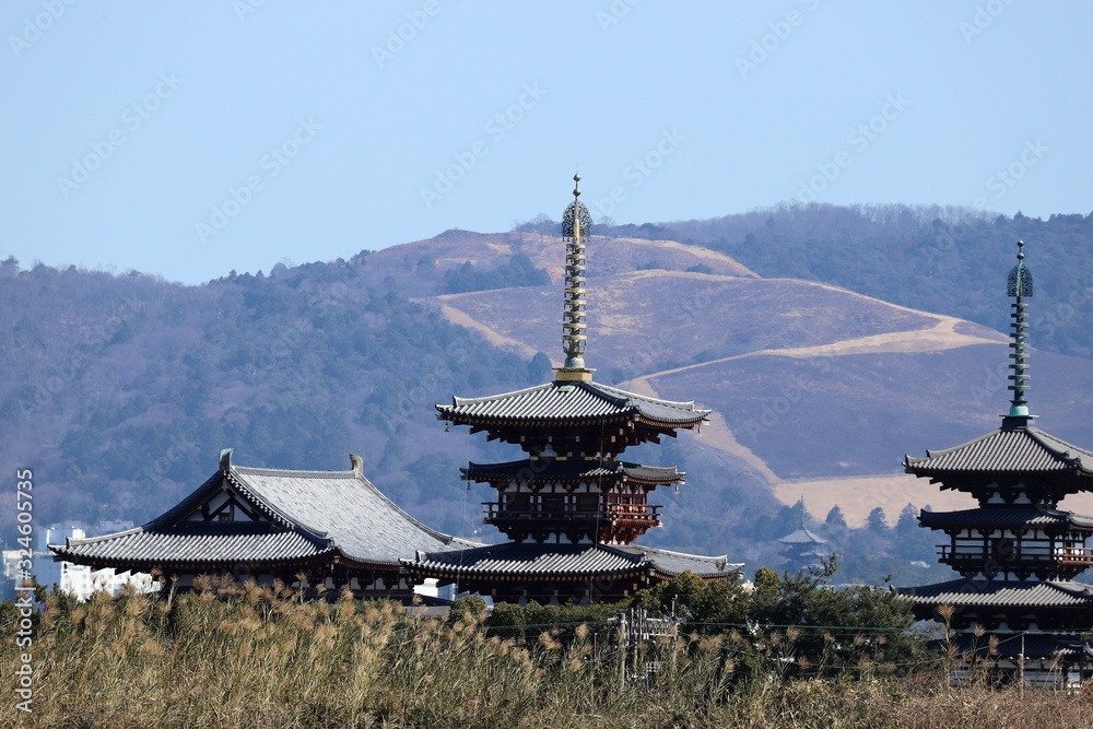 薬師寺 薬師寺
