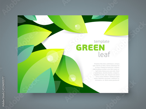 Brochure Leaf green theme foliage element cover