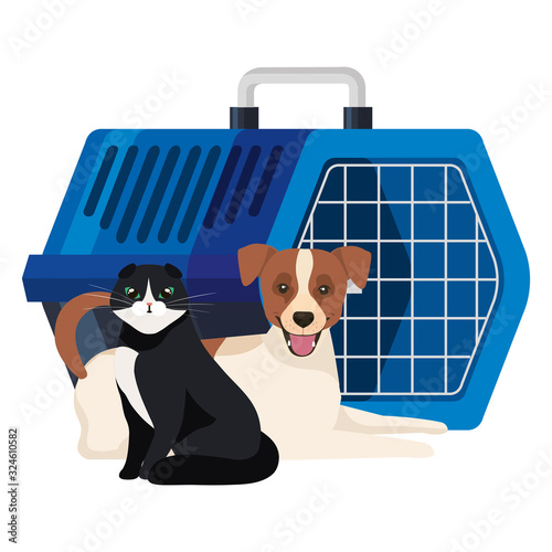 cute dog with cat and pet carry box vector illustration design