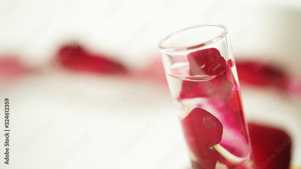 red rose petals on water and laboratory for nature science concept background red rose petals on water and laboratory for nature science concept background