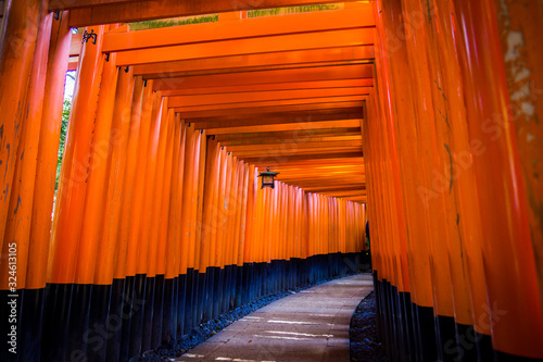 Inari shrine Kjoto Japan orange gates photo