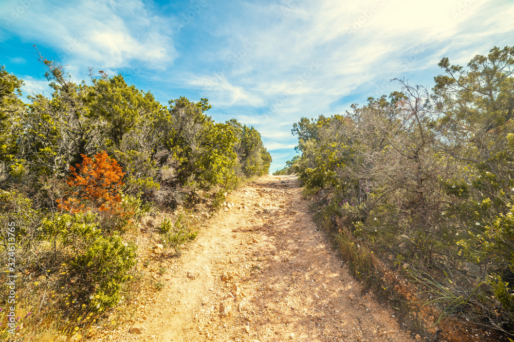 Dirt path in the Sardinian country side Dirt path in the Sardinian country side