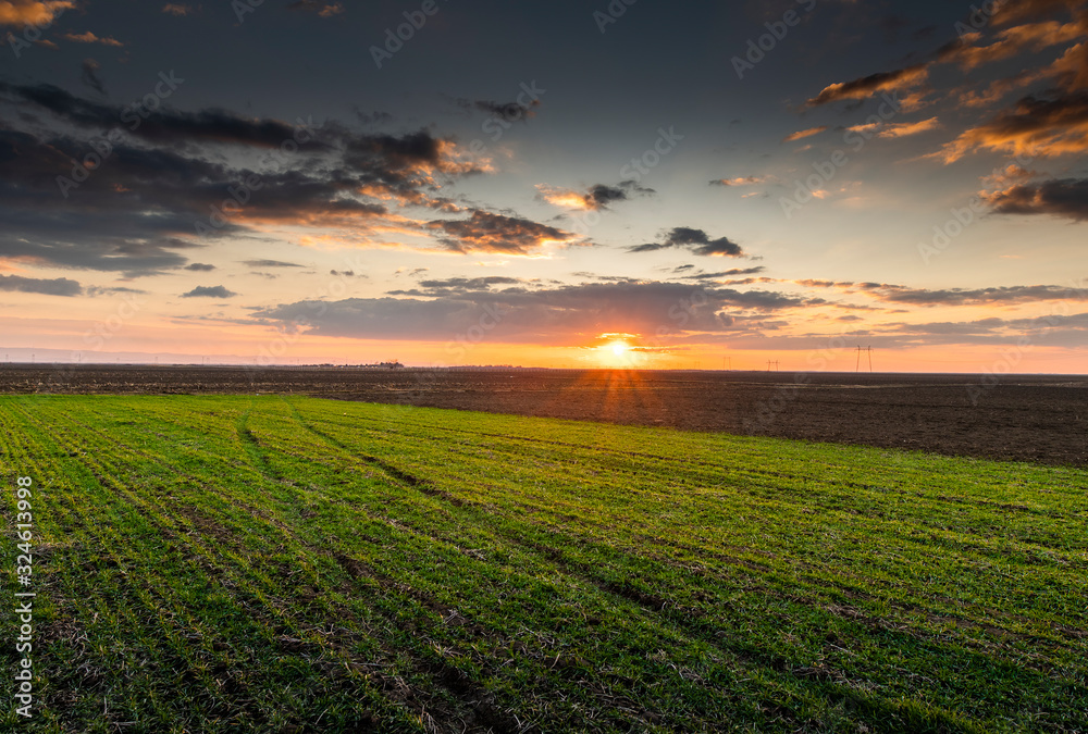  Sun Over Rural Countryside Wheat Field.