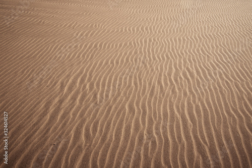 Sandy beach texture