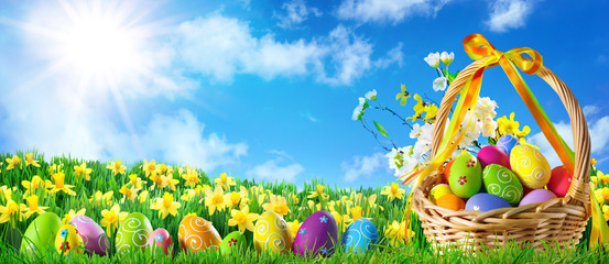 Basket of easter eggs on green grass at sunny day