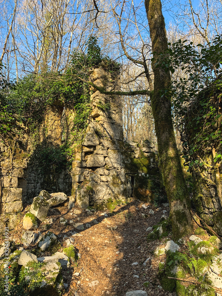 Fototapeta premium Ruin of an old town in the forest