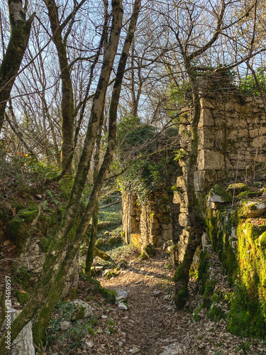 Ruin of an old town in the forest