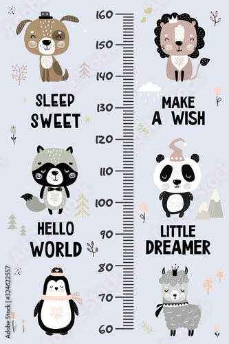 Kids height chart. Cute and funny doodle animals. Growth chart in scandinavian style.