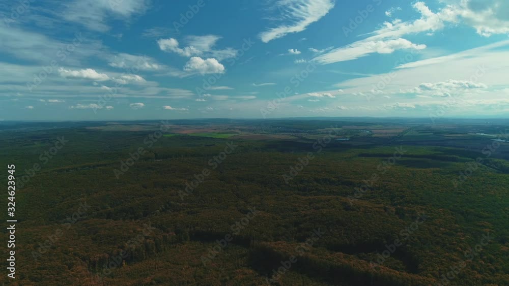 Drone flying slowly backwards over woodland with areas of young trees grown after old were cut. Drone flying slowly backwards over woodland with areas of young trees grown after old were cut.