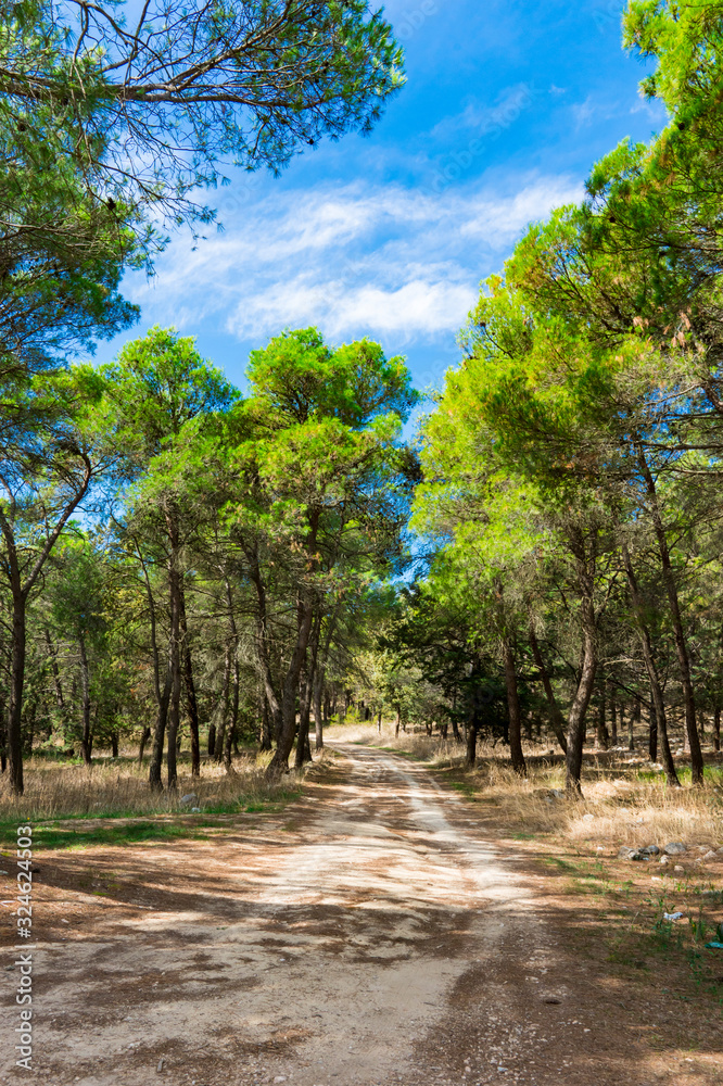 Fototapeta premium Hiking path through the nature of Gravina di Puglia, Italy_