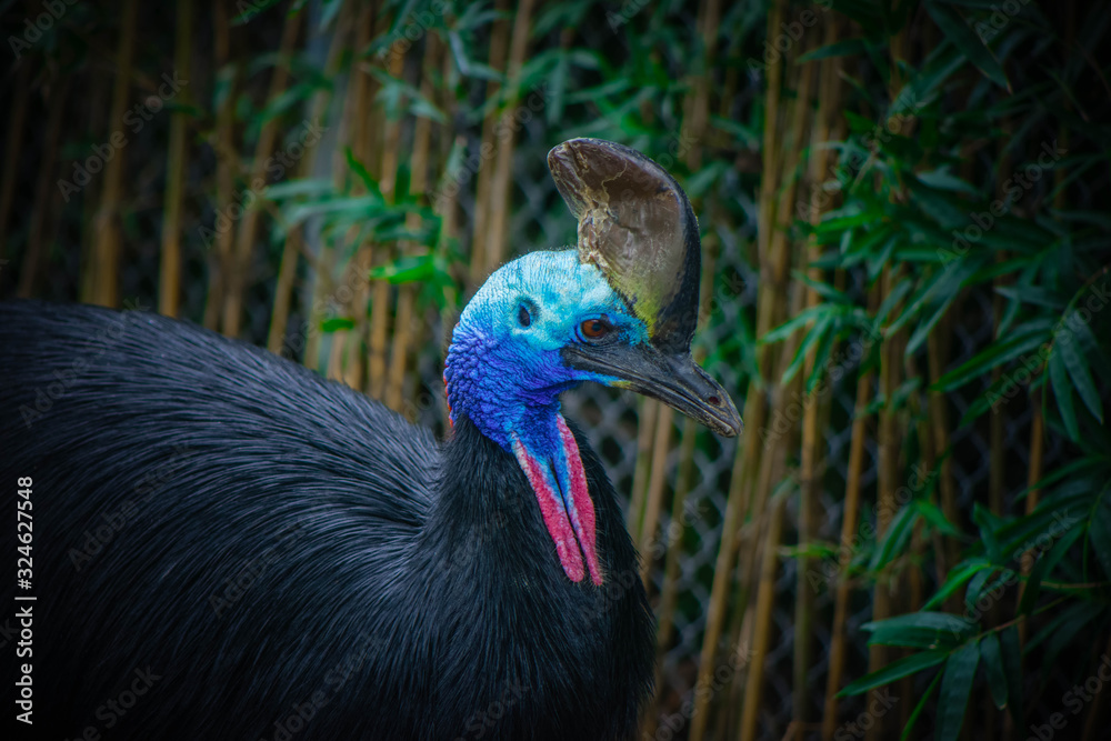 Naklejka premium le here (max: 200 characters)