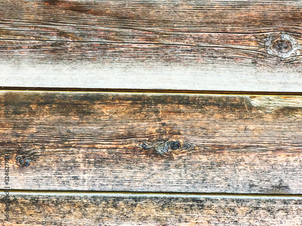 The structure of piece of wood. Shot from close view The structure of piece of wood. Shot from close view