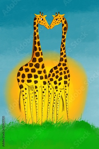 Photography Couple of giraffes in savanna with sun