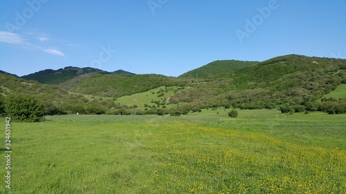 Green Hill An Green Grass