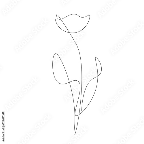 Flower tulip silhouette line drawing vector illustration