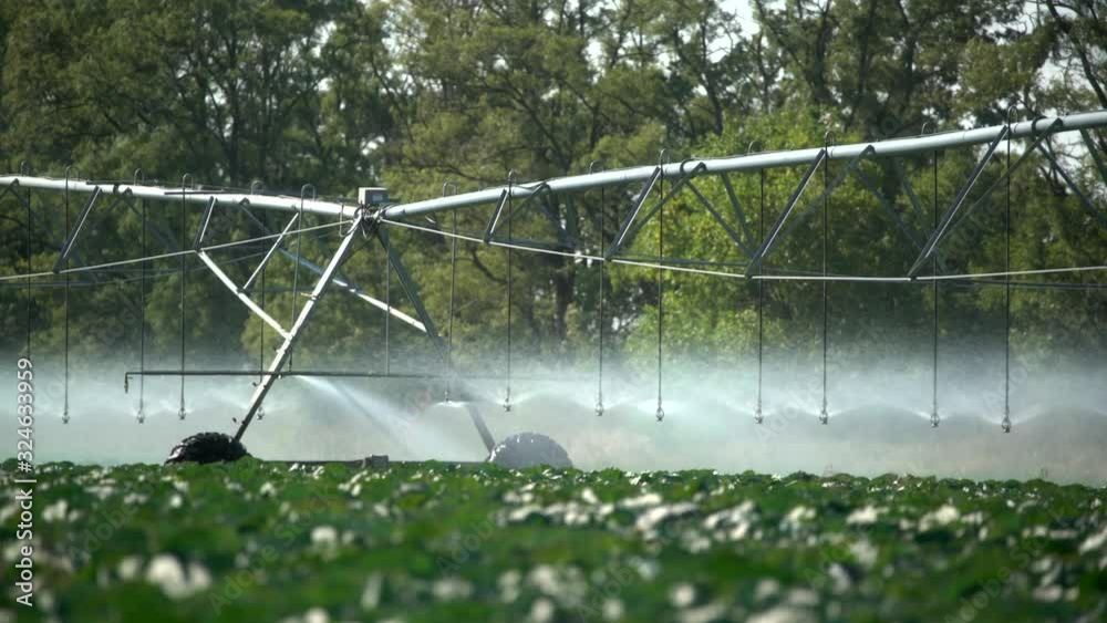 Big automatic irrigating system with wheels spraying on field, watering plantation, pouring water Big automatic irrigating system with wheels spraying on field, watering plantation, pouring water