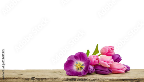 Pink tulips bouquet on wooden Board isolated on white background, copy space