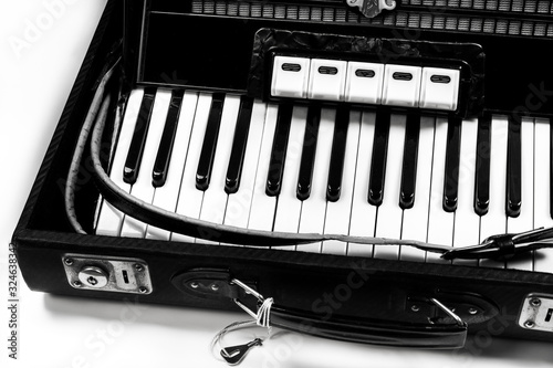 Accordion on a white background photo