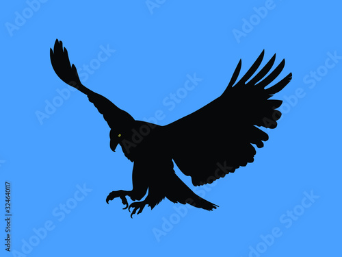 Eagle vector, Abstract vector illustration of eagle