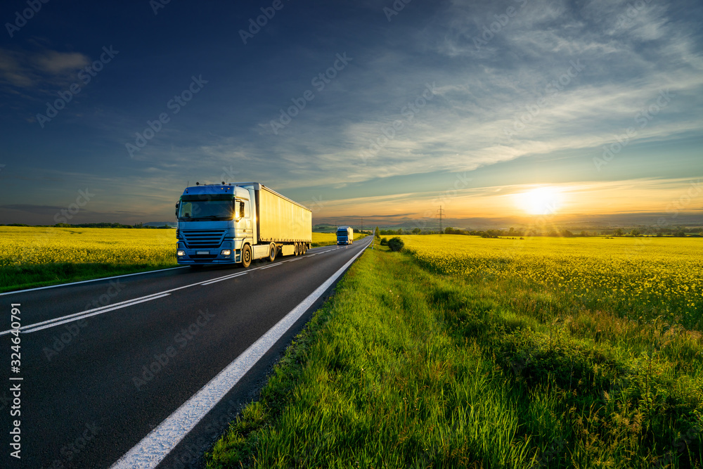 Blue trucks driving on the asphalt road between the yellow flowering rapeseed fields in the rural landscape at sunset