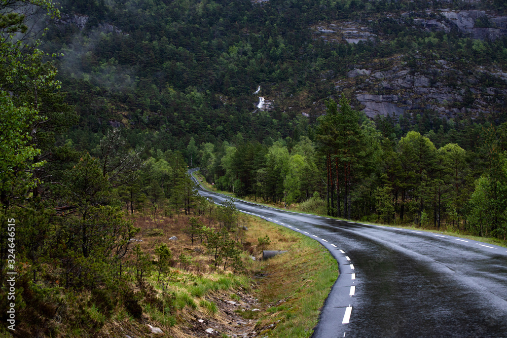 Fototapeta premium Wet road in the nature for hiking