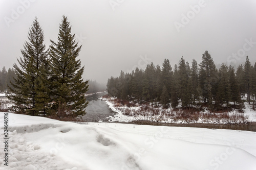 Heavily forested area with tall evergreens surrounding heavy snow and calm river with fog
