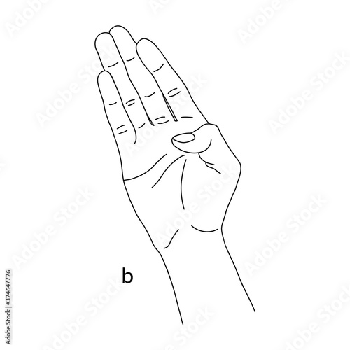 B is the second letter of the alphabet in sign language. Vector graphics isolated image of a hand with a spread out palm and a squeezed thumb. The language of the deaf and dumb. Line art drawing