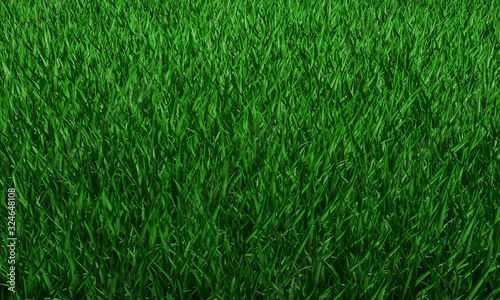 Wallpaper Mural Green grass texture background, Green lawn, Backyard for background, Grass texture, Green lawn desktop picture, Park lawn texture. 3D software rendering. Torontodigital.ca