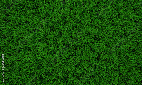 Green grass texture background, Green lawn, Backyard for background, Grass texture, Green lawn desktop picture, Park lawn texture. 3D software rendering.