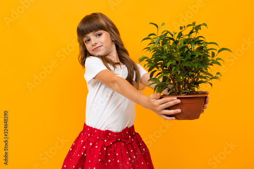 Beautiful little girl in dress holds a green flower in a pot isolated on yellow or orange backgrounnd