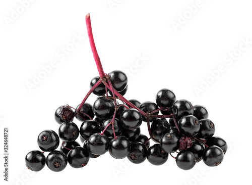 Elderberries with twig isolated on a white background. Selective focus.