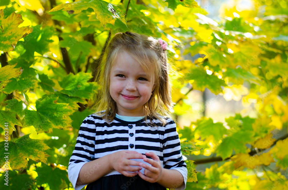 Girl in the autumn forest. Sunny, bright day. Girl in the autumn forest. Sunny, bright day.