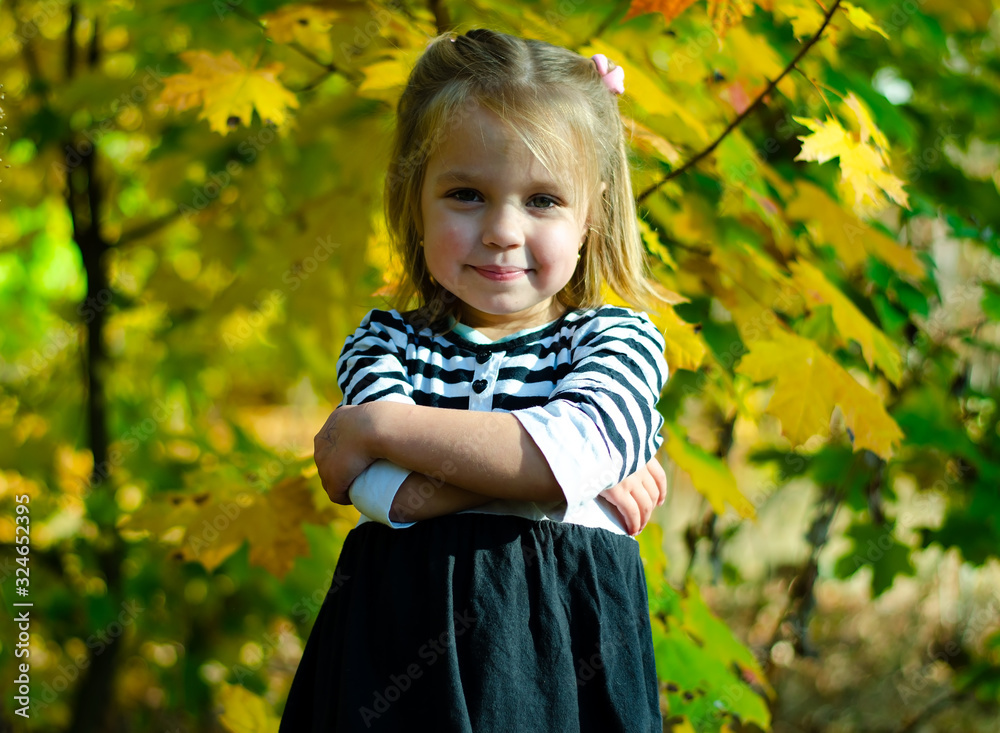 Girl in the autumn forest. Sunny, bright day. Girl in the autumn forest. Sunny, bright day.