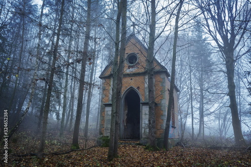 Abandoned mausoleum in a misty forest