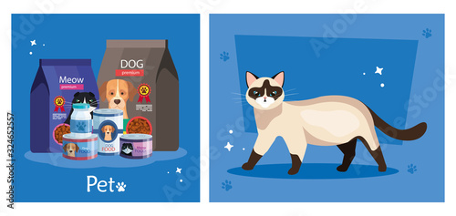 set poster of food for animals and icons vector illustration design