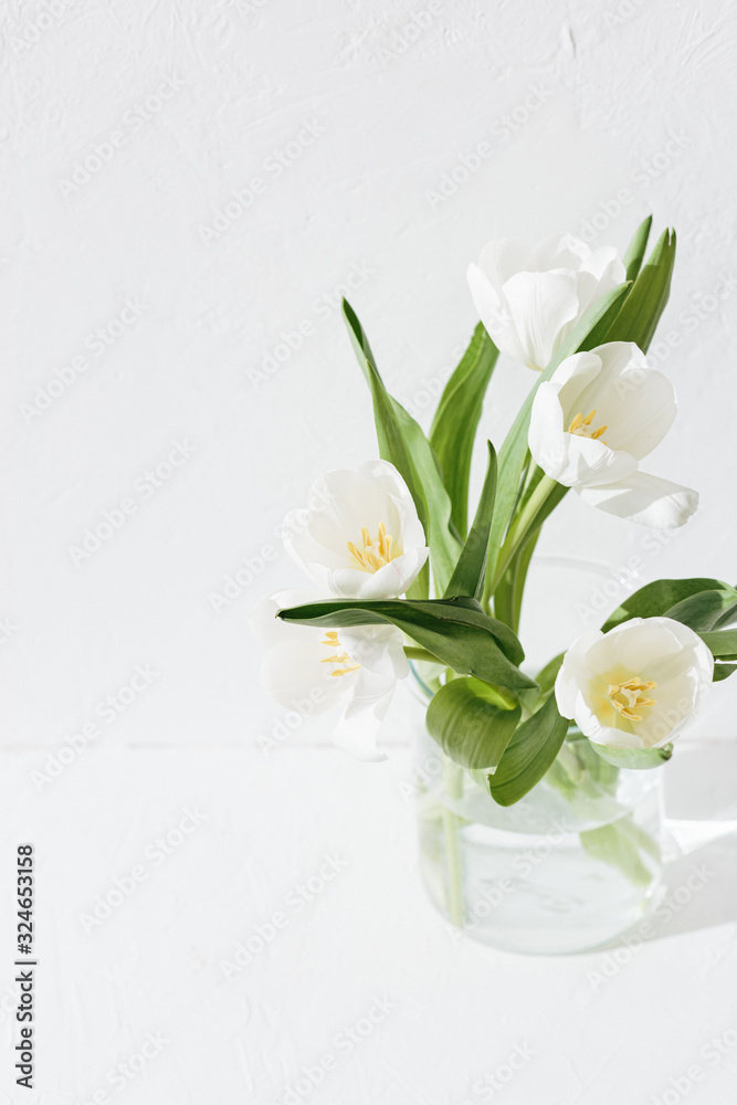 White tulips in the glass vase isolated on white textured background