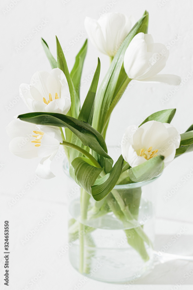 White tulips in the glass vase isolated on white textured background