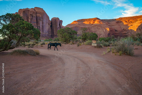 a horse on scenic drive in the monument valley, usa