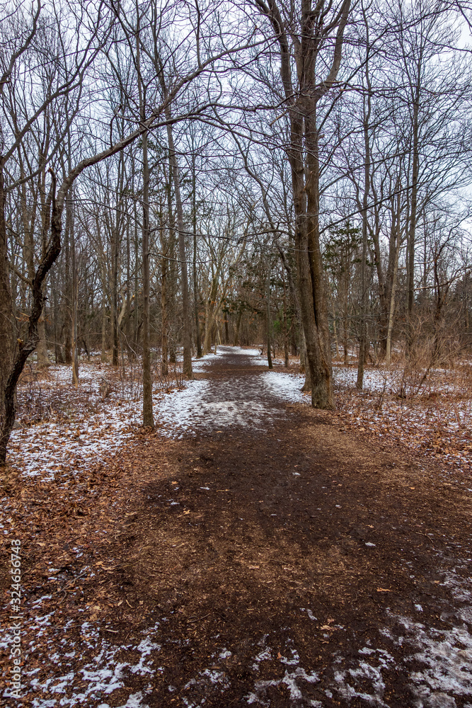 Winter trail in Cape Cod, Massachusetts. Winter trail in Cape Cod, Massachusetts.