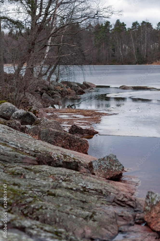 Obraz premium The rocky shore of a large lake in early spring, trees, large stones and melting ice near the shore on a cloudy spring day.