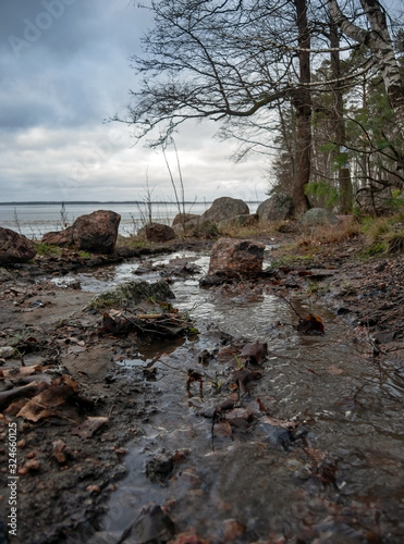 A creek flows into a large lake in early spring, trees, large stones and melting ice near the shore on a cloudy spring day. photo