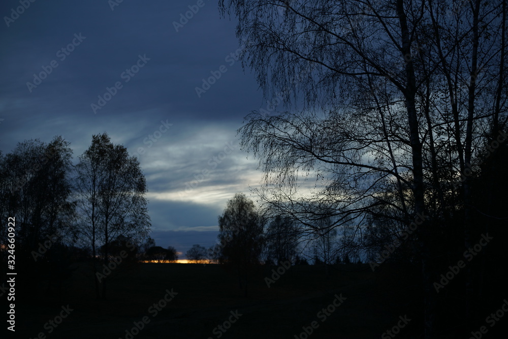 Nature Landscape with sunset and birch trees during winter Nature Landscape with sunset and birch trees during winter