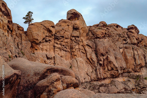 An array of unusual red rocks with a pine tree growing on top. Mountains of Kent. Kazakhstan