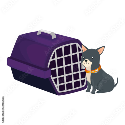 cute dog with carry box isolated icon vector illustration design